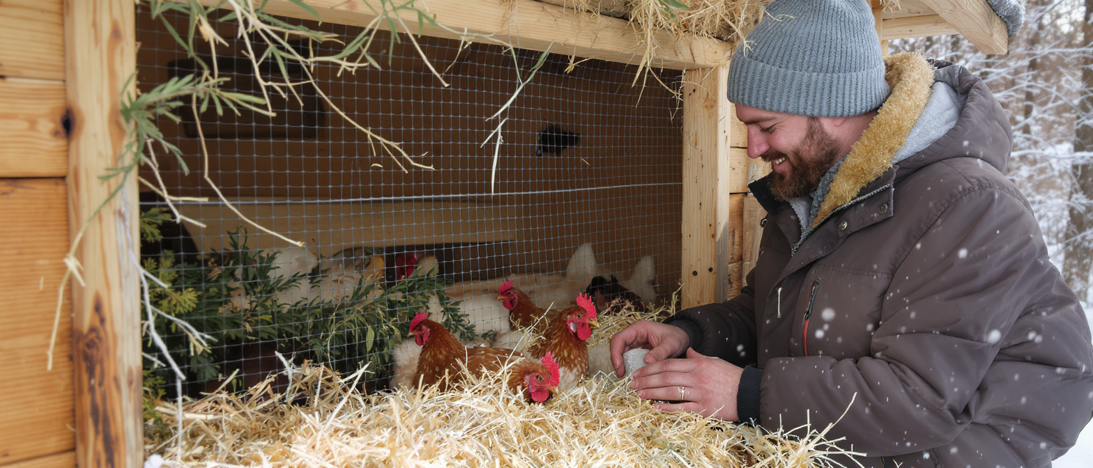 learn effective and energy-free methods to keep your chickens warm during winter, ensuring their comfort and health without using electricity.