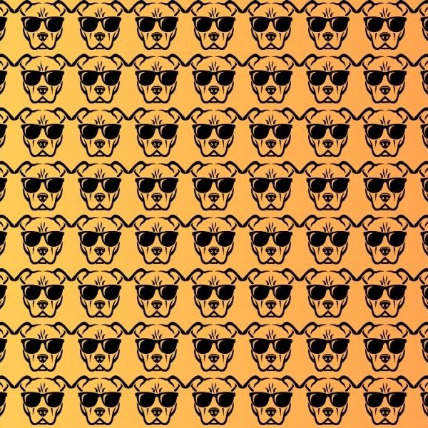 Can you spot the 3 odd dogs out in less than 18 seconds? Take this fun visual test now!