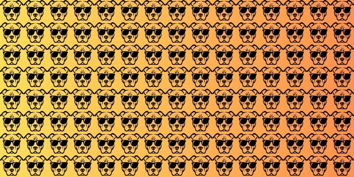Can you spot the 3 odd dogs out in less than 18 seconds? Take this fun visual test now!