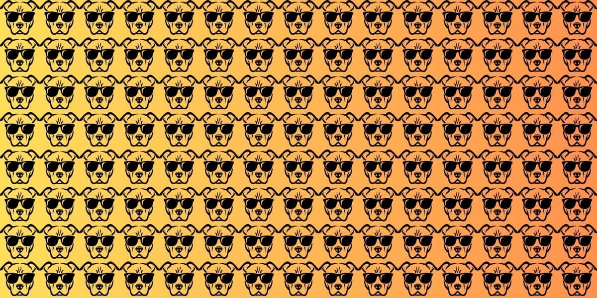 Can you spot the 3 odd dogs out in less than 18 seconds? Take this fun visual test now!
