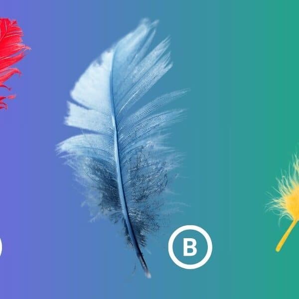 Do you really know what your dream day looks like - find out by choosing a feather on this personality test!
