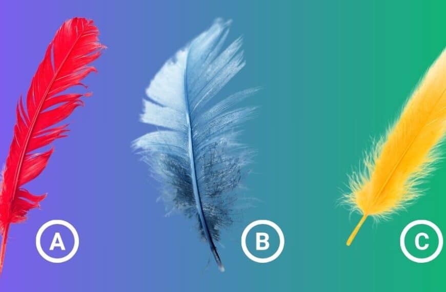 Do you really know what your dream day looks like - find out by choosing a feather on this personality test!