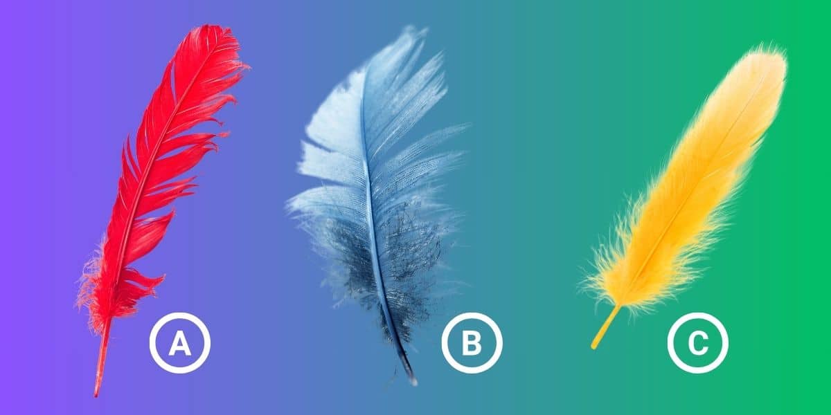 Do you really know what your dream day looks like - find out by choosing a feather on this personality test!