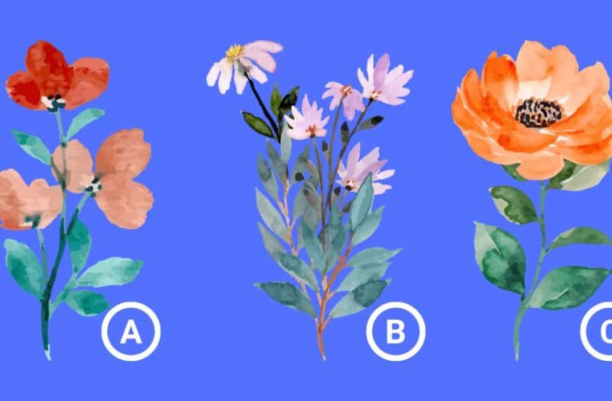 Personality test: Which flower resonates with you? Discover the core values that drive your life decisions!