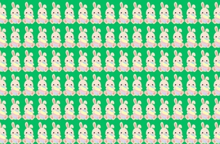 Spot the quirky Easter bunnies! Can you find the two odd ones out in 25 seconds or less?