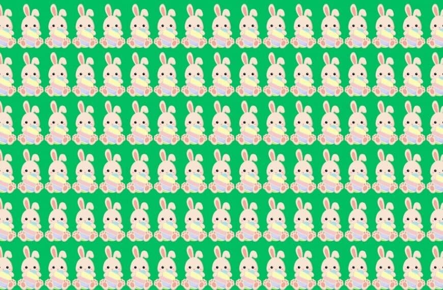 Spot the quirky Easter bunnies! Can you find the two odd ones out in 25 seconds or less?