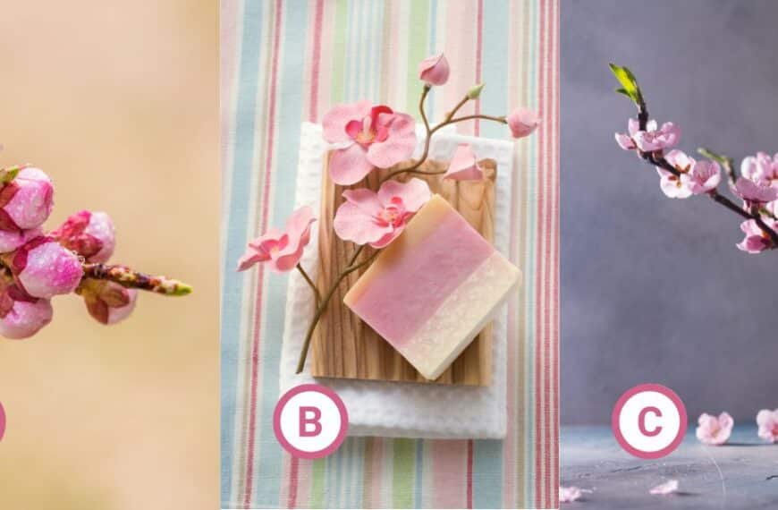 Personality test: Which cherry blossom matches your vibe? Uncover your unique stress management style now!