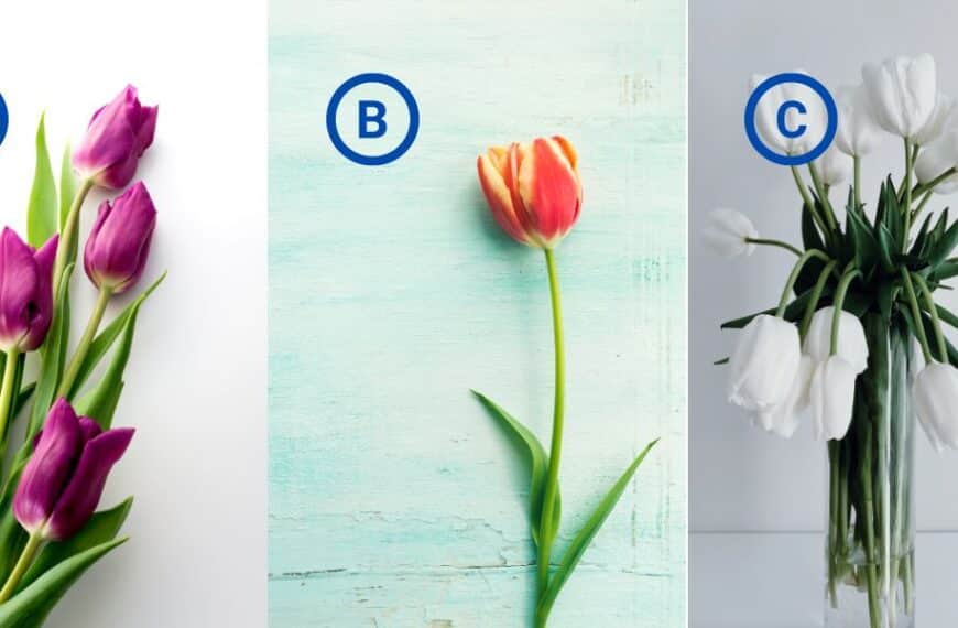 Personality test: what does your chosen tulip reveal about your Achilles heel?