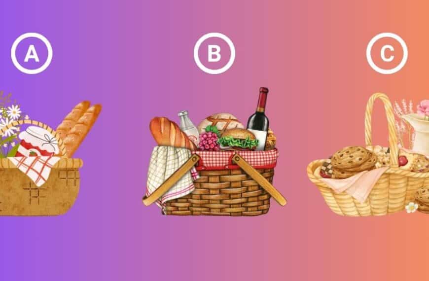 Personality test: choose a picnic basket and we'll reveal if you're truly living your dream