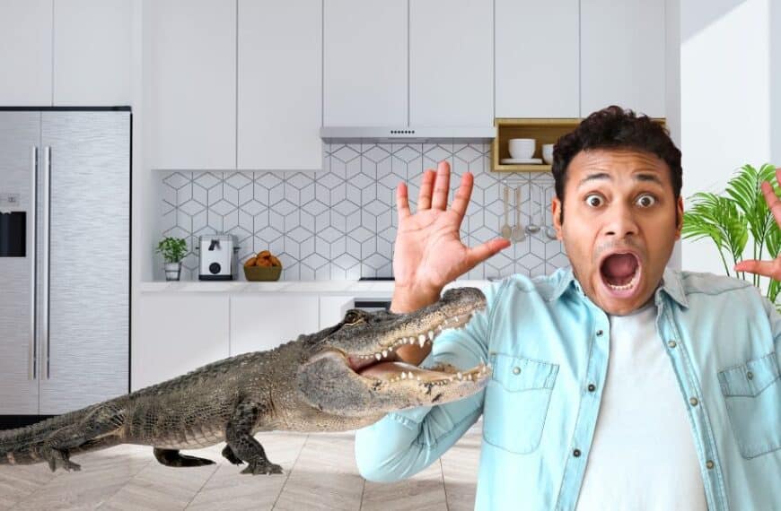 Florida homeowner's shocking encounter with an 8-foot alligator in the kitchen