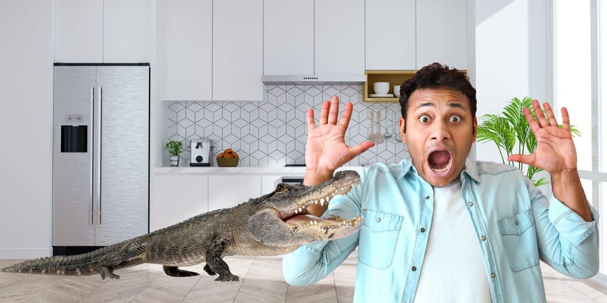 Florida homeowner's shocking encounter with an 8-foot alligator in the kitchen