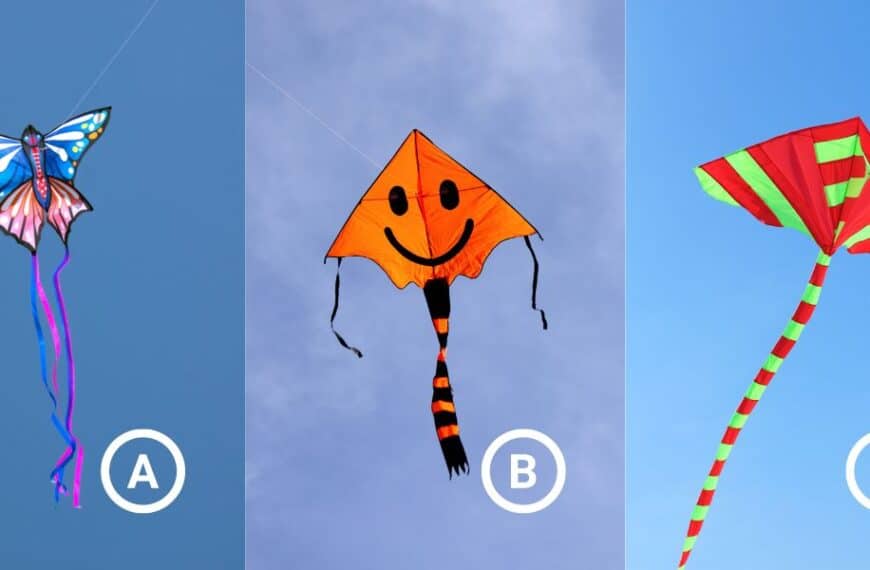 Personality test: Discover the qualities you value most in relationships by choosing a kite!