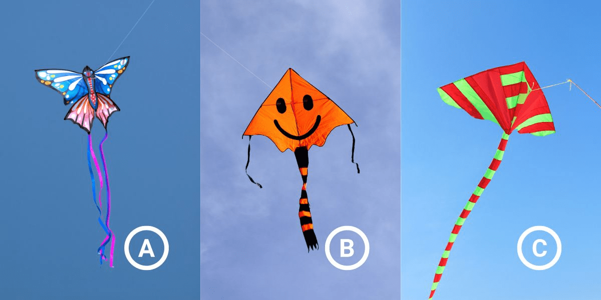 Personality test: Discover the qualities you value most in relationships by choosing a kite!